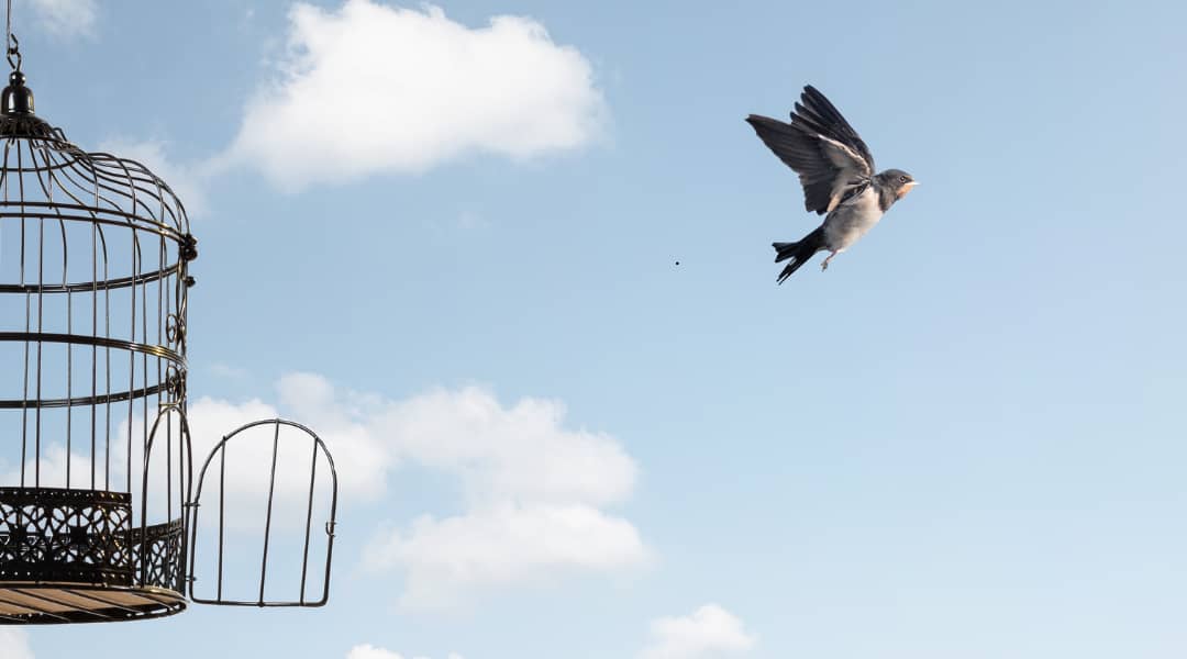 Are You Experiencing These Career Shifts as You Approach Your 50s?
