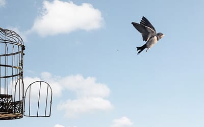 Are You Experiencing These Career Shifts as You Approach Your 50s?